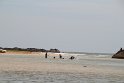 IMG_8750