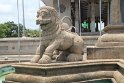 IMG_8771