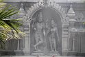 IMG_8818