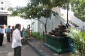 IMG_8819