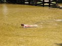 IMG_0931