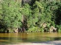 IMG_0956