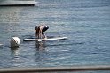 IMG_9297