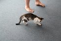 IMG_9240