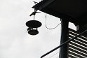 IMG_9251