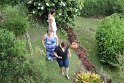 IMG_9258