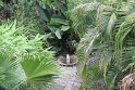 IMG_9266