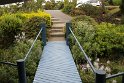 IMG_9269