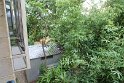 IMG_9270