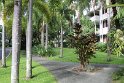 IMG_9346