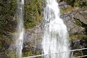 IMG_9364