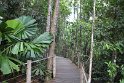 IMG_9393