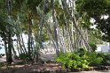 IMG_9405