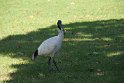 IMG_0728