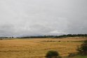 IMG_9740