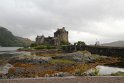 IMG_9841