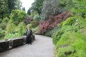 IMG_9874