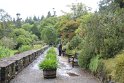 IMG_9877
