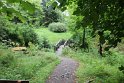 IMG_9880