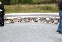 IMG_9900