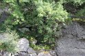 IMG_9931