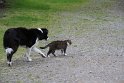 IMG_0135