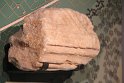 IMG_0282