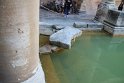 IMG_0333