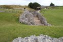 IMG_0429