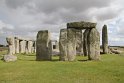 IMG_0453