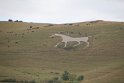 IMG_0467
