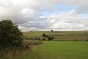 IMG_0474
