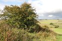 IMG_0478