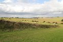 IMG_0479