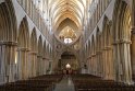 IMG_0501
