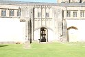 IMG_0511