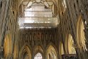 IMG_0525