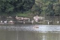 IMG_0553