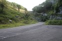 IMG_0556
