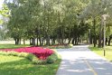 IMG_9484