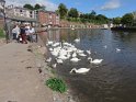 IMG_0010