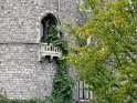 IMG_0032