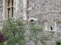 IMG_0044