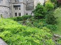 IMG_0048