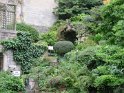 IMG_0049