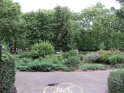 IMG_0080