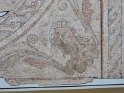 IMG_0140