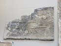 IMG_0154