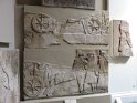 IMG_0155
