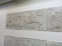 IMG_0156